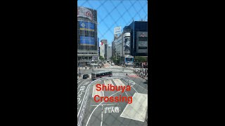 Shibuya Crossing Travel Series [upl. by Andra]