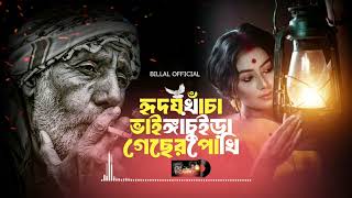 হৃদয় খাঁচা ভাইঙ্গা চুইড়া গেছে রে পাখি  মনির খানের কষ্টের গান  বাংলা কষ্টের গান  Billal Official [upl. by Akimrehs563]