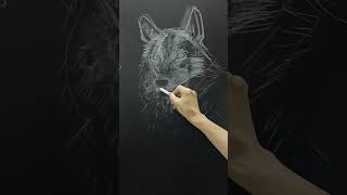 黑板粉筆畫 ｜ 動物畫｜狼｜Chalkboard drawing sketching art drawing chalkart drawingtutorial blackboard [upl. by Ailama]