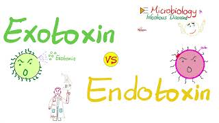 Exotoxins vs Endotoxins  Microbiology 🧫 amp Infectious Diseases 🦠 [upl. by Diena]