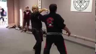 DMA Larry Tatum Teaching a Technique  Snapping Twig  Kenpo Karate [upl. by Bostow908]