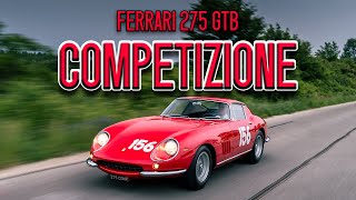 Driving a Ferrari 275 GTB Competizione [upl. by Eicaj]