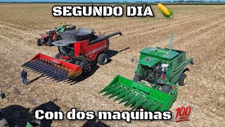 COSECHA de MAIZ con la JOHN DEERE y la MASSEY no ALCANZAN las TOLVAS [upl. by Ancilin]