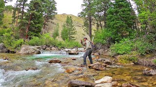 Fly Fishing the most INCREDIBLE Stream in Wyoming  Fly Fishing Wyoming part 3 [upl. by Dow]