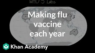 Making flu vaccine each year  Infectious diseases  Health amp Medicine  Khan Academy [upl. by Otreblada849]