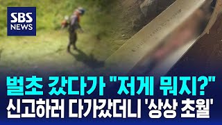 벌초 갔다가 quot저게 뭐지quot…신고하러 다가갔더니 상상 초월  SBS  오클릭 [upl. by Eillo169]