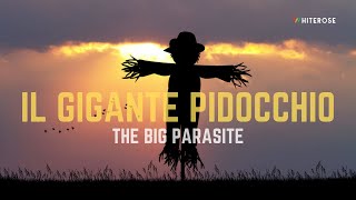 IL GIGANTE PIDOCCHIO  Film Completo in Italiano Documentario  Commedia [upl. by Romeon790]