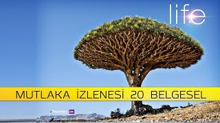 MUTLAKA İZLEMENİZ GEREKEN 20 BELGESEL [upl. by Eissim]