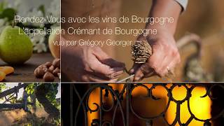 RendezVous avec les Vins de Bourgogne  L’appellation Crémant de Bourgogne vu par Grégory Georger [upl. by Onit]