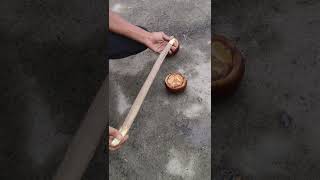 Tal Ped Ke Fal Se Gadi  How To Make experiment shorts [upl. by Drain]