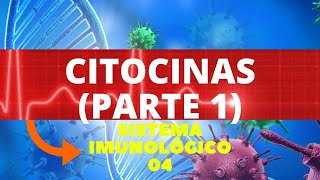 CITOCINAS PARTE 1  ENTENDA AS CITOCINAS DA IMUNIDADE INATA  IMUNOLOGIA [upl. by Dowell979]