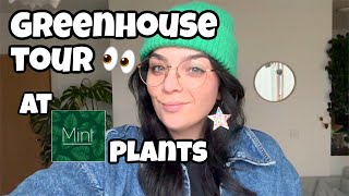 Check out Mint Plants Greenhouses with me 🪴 plus succulent haul 🤪 [upl. by Barhos]