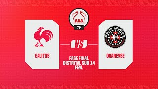 Fase Final Distrital de Sub 14 Feminino  Galitos vs Ovarense [upl. by Marilin]