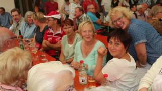 Eschachtalmusikanten Weinfest Erlenbach 2016 [upl. by Assilat]