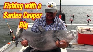 Use this FISHING rig to find and catch Giant Lake Catfish [upl. by Naot]