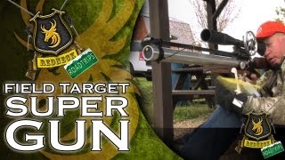 Field Target SUPER GUN [upl. by Niak]