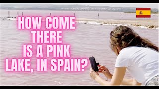 Spains PinkWater Lake Las Salinas de Torrevieja  spain torrevieja lake travel touristspot [upl. by Serolod]