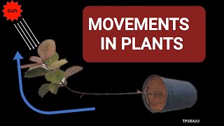 TROPIC and NASTIC MOVEMENTS IN PLANTS [upl. by Hamrah397]