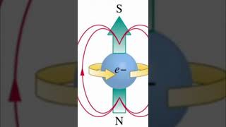 Is Oxygen Magnetic sciencefacts science chemistry [upl. by Dlorad]