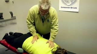 The Chiropractic Adjustment with Dr Fred Schofield [upl. by Aitercal879]