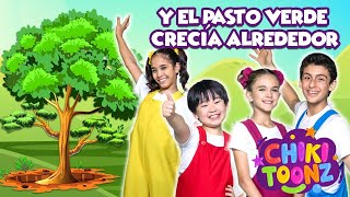 Y El Pasto Verde Crecía Alrededor  Canciones Infantiles  Vídeos para Niños ChikiToonz [upl. by Jr]