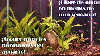 Elimina el alga en 3 días  método para quitar algas seguro para peces plantas e invertebrados [upl. by Carbone751]