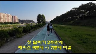 나만의 속도로 달려보는 인생  달리기에서 배우는 삶의 지혜 feat  브런치 작가 도전 [upl. by Carbone829]