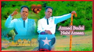 NABI AMAAN AXMED BUDUL VEDEO NEW 2024 OFFCIAL NABI AMAAN JEEXDINTV [upl. by Fiann]