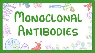 GCSE Biology  Monoclonal Antibodies 40 [upl. by Aieki]