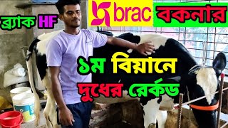 ব্র্যাকের বকনার দুধের রের্কড দেখুন।Brac Usa 100 Holstein frisians bulls of baby milk record❤️ [upl. by Neidhardt822]