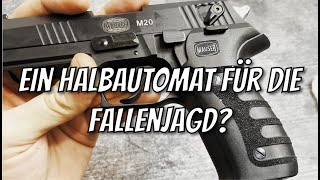 Mauser M20 22 LR HV Fangschuss Waffe für die Fallenjagd Kleinkaliber [upl. by Ahras]