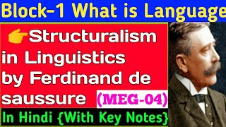 Structuralism in Linguistics in hindiStructuralism by Ferdinand de Saussure in hindi MEG04IGNOU [upl. by Lramaj]