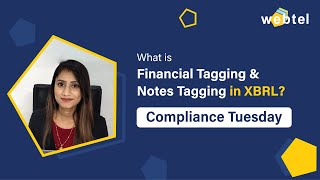 What is Financial Tagging amp Notes Tagging in XBRL  Easiest Process for Tagging in XBRL [upl. by Marlowe]