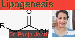 Biochemistry Lipogenesis [upl. by Collyer770]