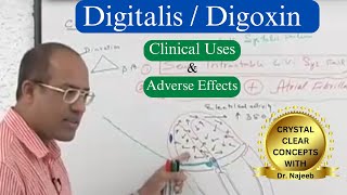 Digitalis  Digoxin Clinical Uses and Adverse Effects [upl. by Jacklyn826]