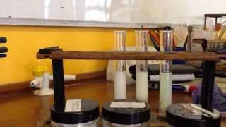 AQA Required Practical  identifying ions Test for Halide Ions [upl. by Slen]