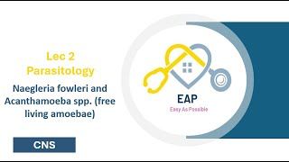 Lec 2  Parasitology  Naegleria fowleri and Acanthamoeba spp free living amoebae  CNS 42 [upl. by Dihahs561]