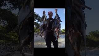 Big catch  Spearfishing Jamaica [upl. by Oniluap514]