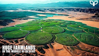 This is How Saudi Arabia Turning Desert into Huge Farmlands [upl. by Yulma]