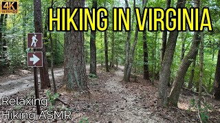 Hiking in a Virginia Forest [upl. by Gilburt]