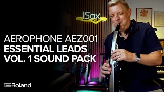 Roland Aerophone AEZ001 Essential Leads Vol 1 Sound Examples [upl. by Lurleen635]