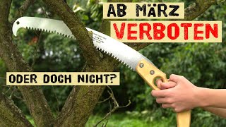 Das ist ab März im Garten verboten  warum es nicht komplett verboten ist die Hecke zu schneiden [upl. by Ornstead]