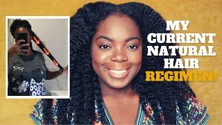 My Current Natural Hair Regimen  Type 4 hair [upl. by Burns]