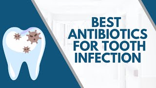 Best Antibiotics For Tooth Infection [upl. by Elamrej]