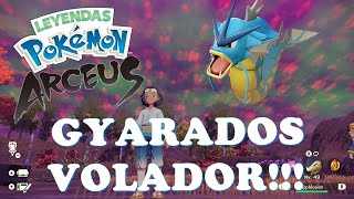 Leyendas Pokémon Arceus Al final resulta que Gyarados si es de tipo Volador [upl. by Wilinski]