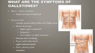 Diseases of the Gallbladder [upl. by Elazaro]