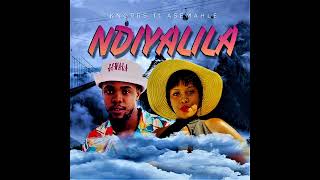 Knorrs ft Asemahle  Ndiyalila Official Audio [upl. by Acnoib]