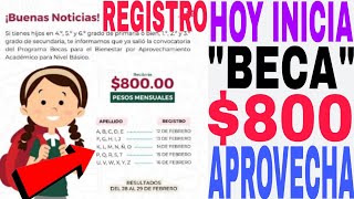 ☝️HOY SALIO 800🎯 BECA APROVECHAMIENTO TIENES BUEN PROMEDIO🥊 SOLICITA AQUÍ HIJOS E HIJAS REGISTRO🤑 [upl. by Girard]