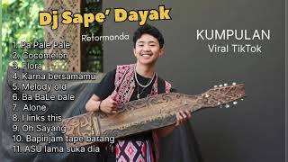 Kumpulan Dj Sape’ Dayak viral TikTok  Dj Pa Pale Pale x Bale bale  Reformanda [upl. by Prentiss837]