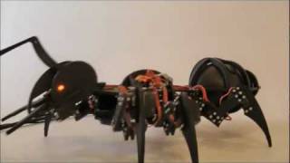 Robot ant [upl. by Whitcher302]